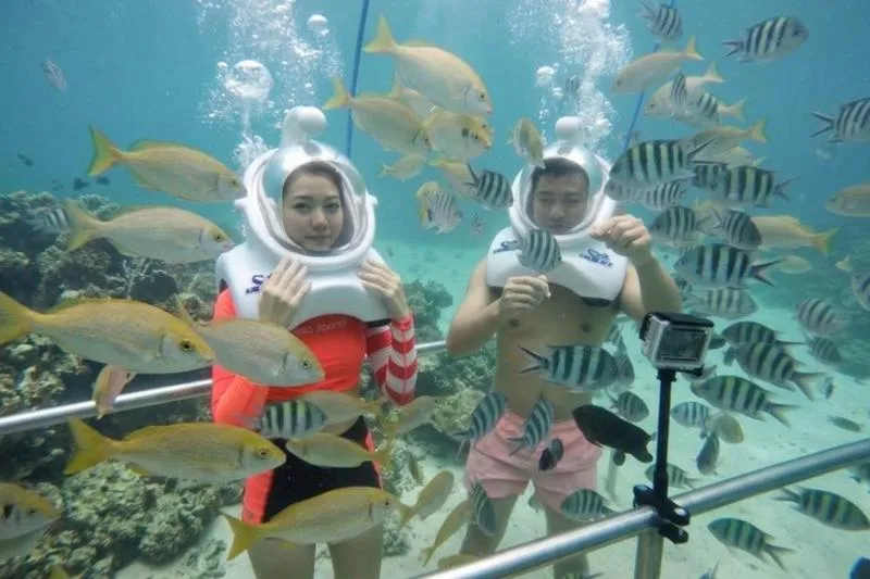 Duration range for Island Tours in Vietnam from 6 hours to 13 hours 30 minutes Duration range for Island Tours in Vietnam from 6 hours to 13 hours 30 minutes