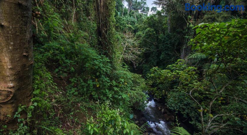Udhiana Resort Ubud Ubud Indonesia Hotels Lonely Planet