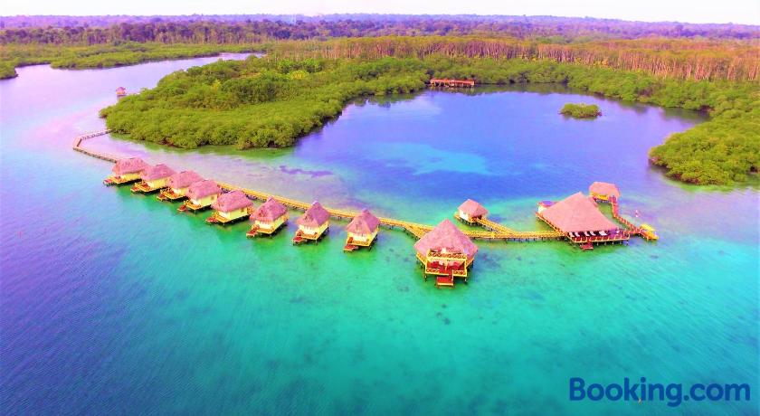 Punta Caracol Acqua Lodge Isla Colon Panama Lonely Planet