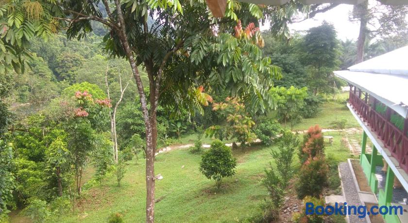 Green Forest Tangkahan Indonesia Hotels Lonely Planet