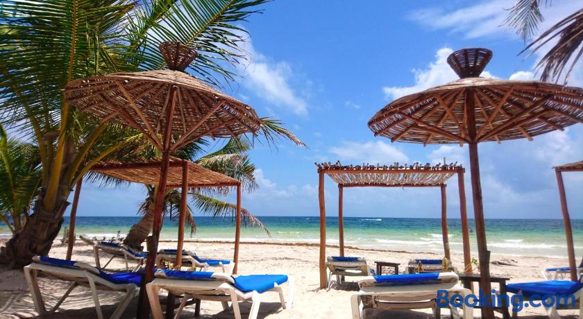 Almaplena Beach Resort Costa Maya Southern Caribbean Coast Almaplena Beach Resort Costa Maya Southern Caribbean Coast Mexico Lonely Planet