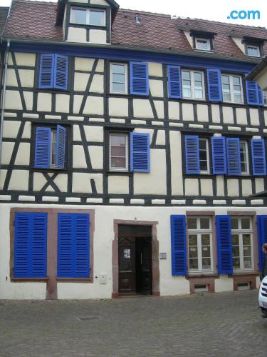 Cuco apartamento dos personas en Colmar