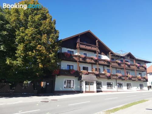 Ferienwohnung haustier erlaubt in der innenstadt. In Weyregg.