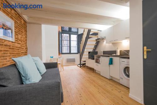 Downtown apartment. Toulouse at your hands!