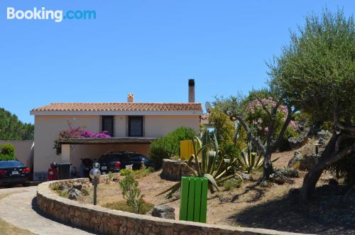 Estúdio cães bem-vindos em Olbia