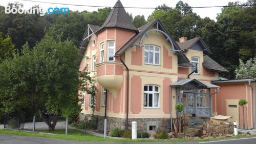 Wohnung mit Terrasse. In Lipova Lazne