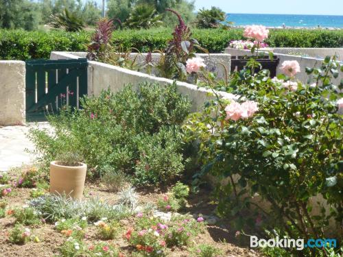 Place with terrace in Palavas-les-Flots.