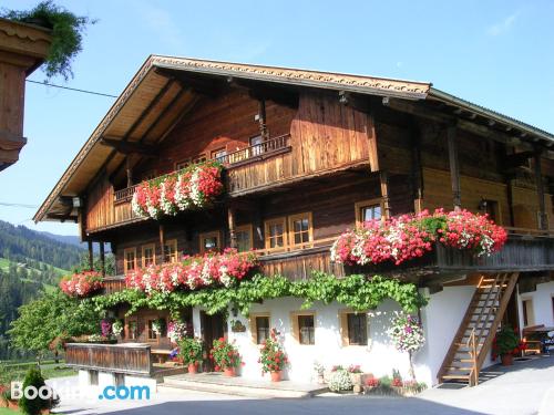 Home in Alpbach with wifi.