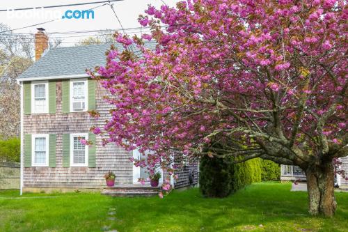 Apartamento apto para animales en Oak Bluffs con conexión a internet