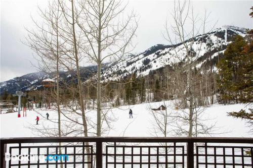 Wohnung mit klimaanlage. In Teton Village