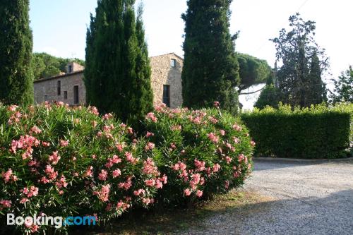 Appartamento a Bibbona. Internet e terrazza