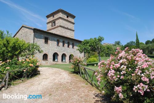 Appartamento con piscina, a San Venanzo