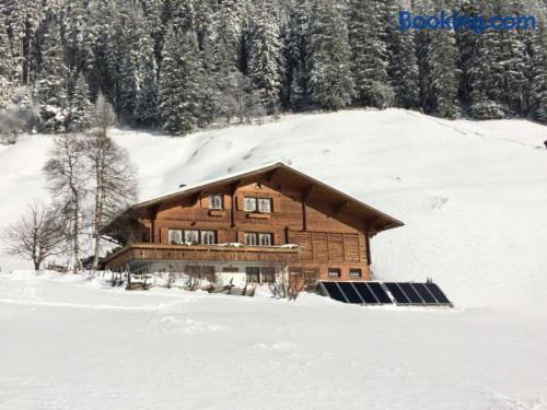 Apartment in Adelboden. Good choice!