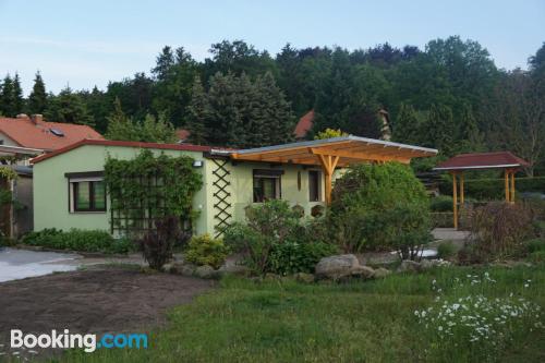 Appartement avec terrasse à Kurort Gohrisch