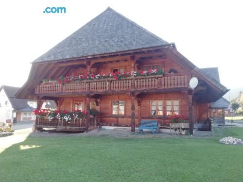 Appartement avec wifi dans la meilleure position de Bernau im Schwarzwald.