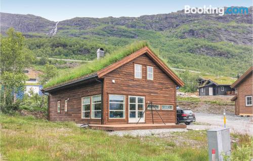 Apartamento de 112m2 en Røldal con internet