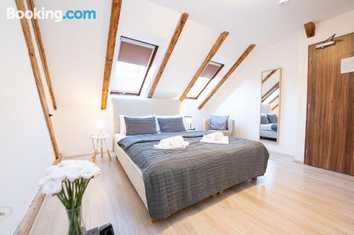 Stay cool: air-con apartment in Mikulov. Incredible location, internet.