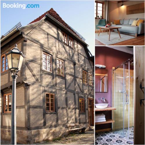 Large apartment in Quedlinburg with heating and wifi