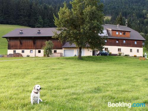 Apartamento com terraço em Russbach am Pass Gschütt