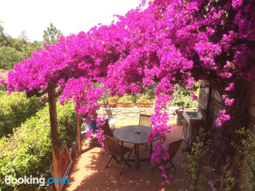 Appartement à Fetovaia. Terrasse!