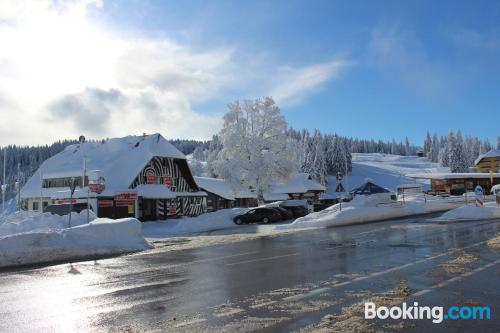 Family friendly apartment in Feldberg with terrace