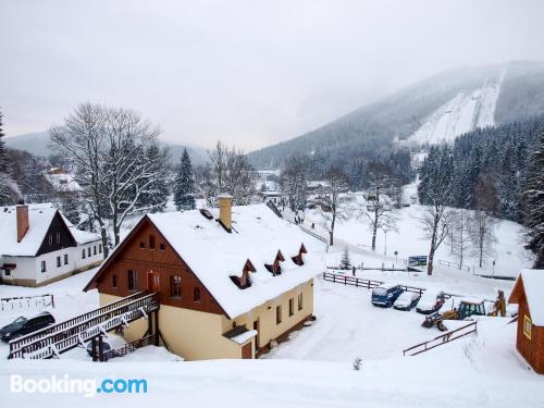 Praktisch appartement. Harrachov aan zijn voeten!