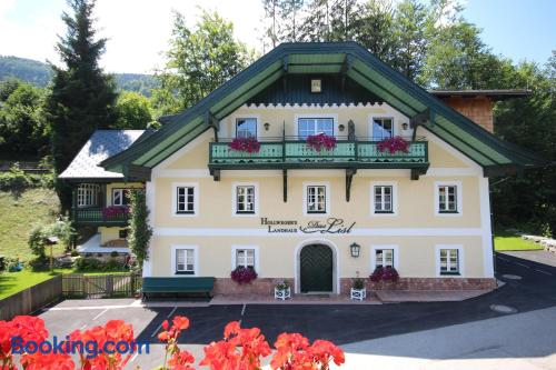 Praktische Ferienwohnung in Sankt gilgen. Tierfreundlich