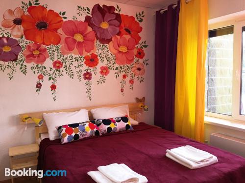 Apartamento con wifi en Gatchina