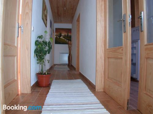 1 bedroom apartment home in Sabugueiro. Dog friendly!.