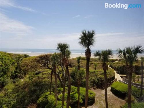 Apartamento com Internet em Kiawah Island