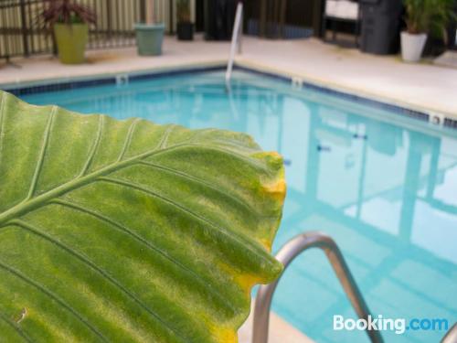 Appartement avec piscine à Rehoboth Beach