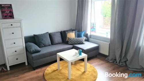 One bedroom apartment with internet