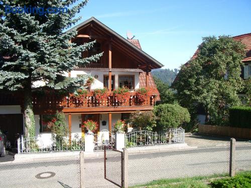 1 bedroom apartment in Bühlertal with heat