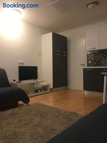 33m2 ferienwohnung. Haustier erlaubt.