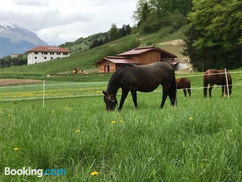 Klein appartement in Comano Terme, met internet