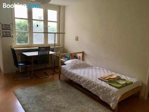 Perfect one bedroom apartment in Heidelberg.