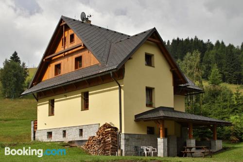 Appartement avec terrasse à Ostružná