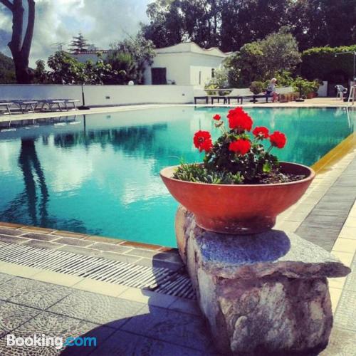 Appartement avec terrasse. Ischia à vos pieds!