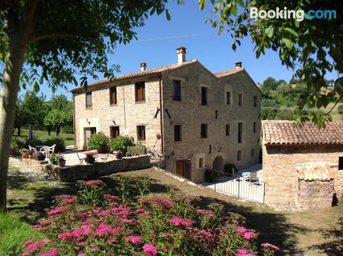 Wohnung mit Internet und Balkon. In Cupramontana