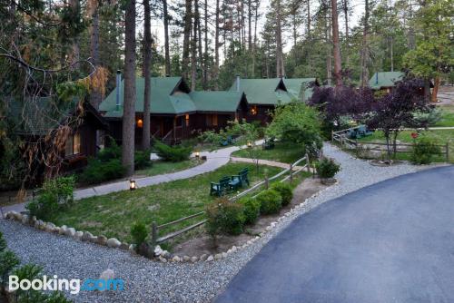 Idyllwild aan zijn voeten! Terras!