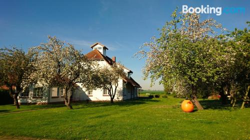 Appartement à Klausdorf Mecklenburg Vorpommern. Terrasse et Internet!