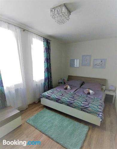 One bedroom apartment in Lipno nad Vltavou in best location