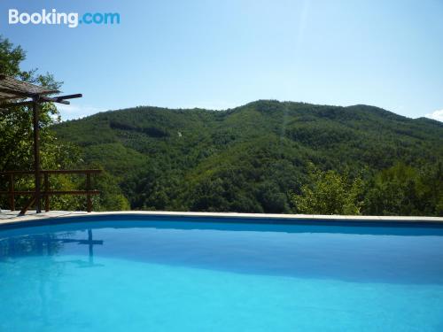 Cães bem-vindos. Terraço e piscina