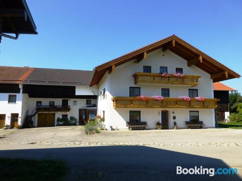 Two bedrooms apartment in Waging am See.