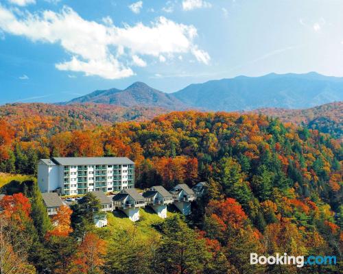 Appartement avec piscine. À Gatlinburg