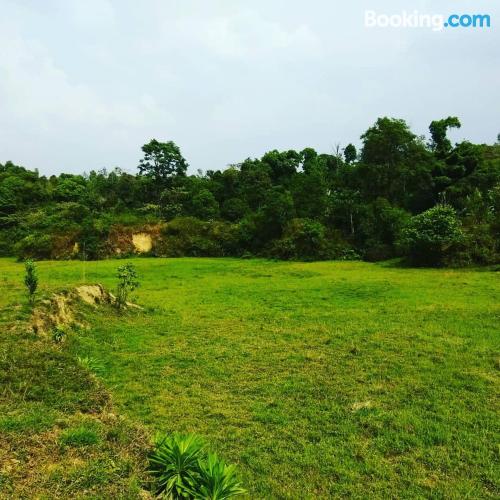 2 Zimmer. In Madikeri