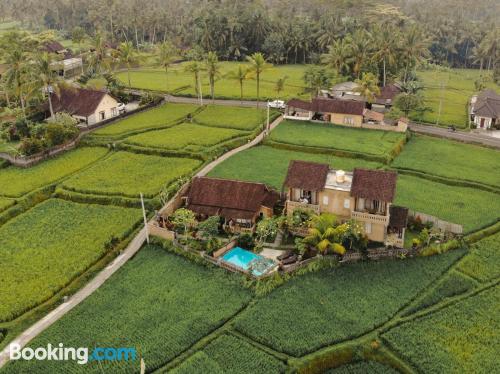 Apartment in Ubud with wifi