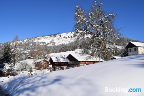 70m2 place in Samoëns with terrace