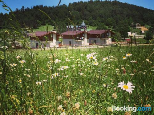 Apartamento com terraço em Bakuriani.