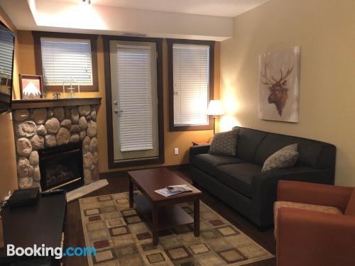 1 bedroom apartment home in Fernie with internet.